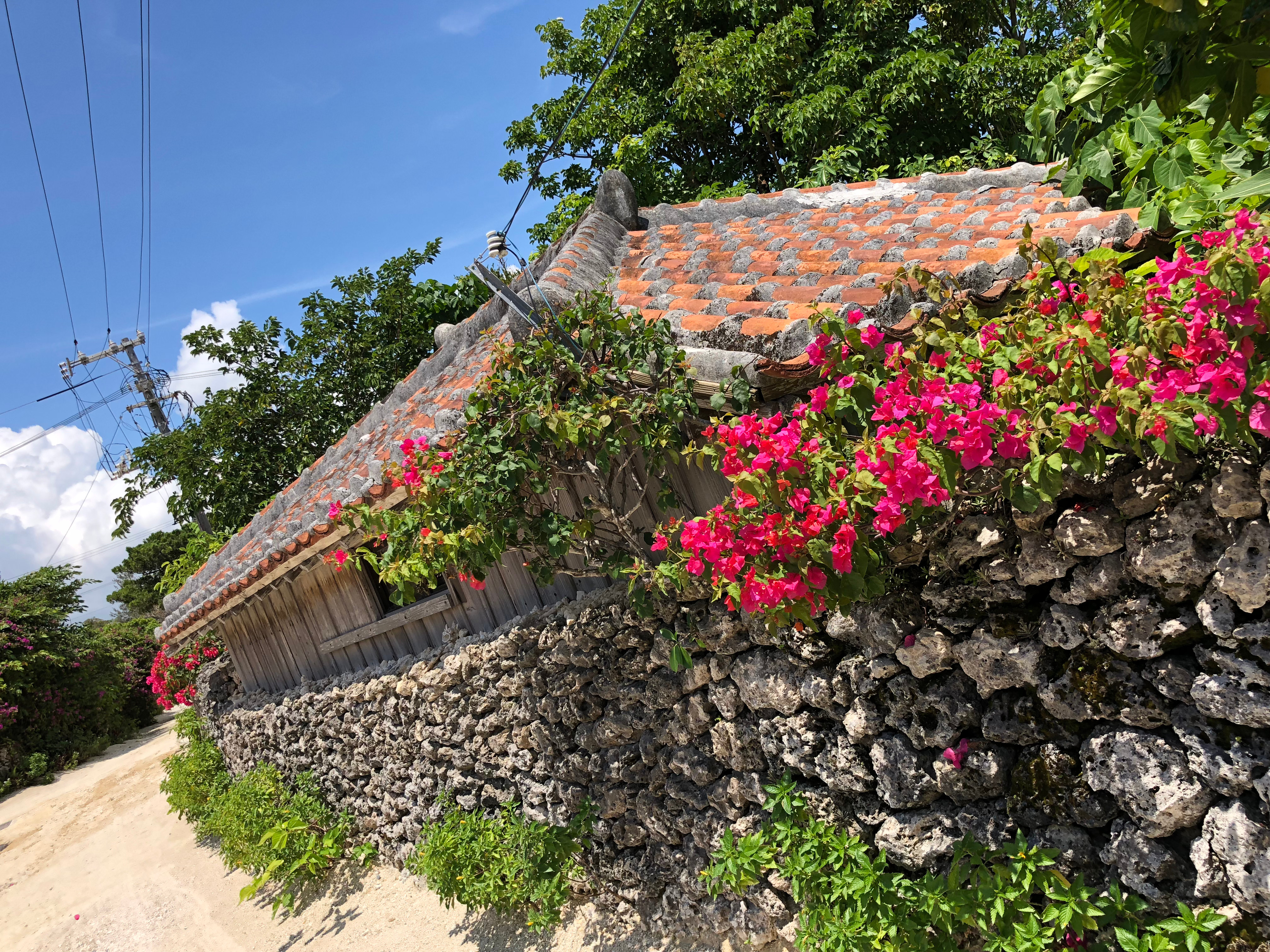 竹富島