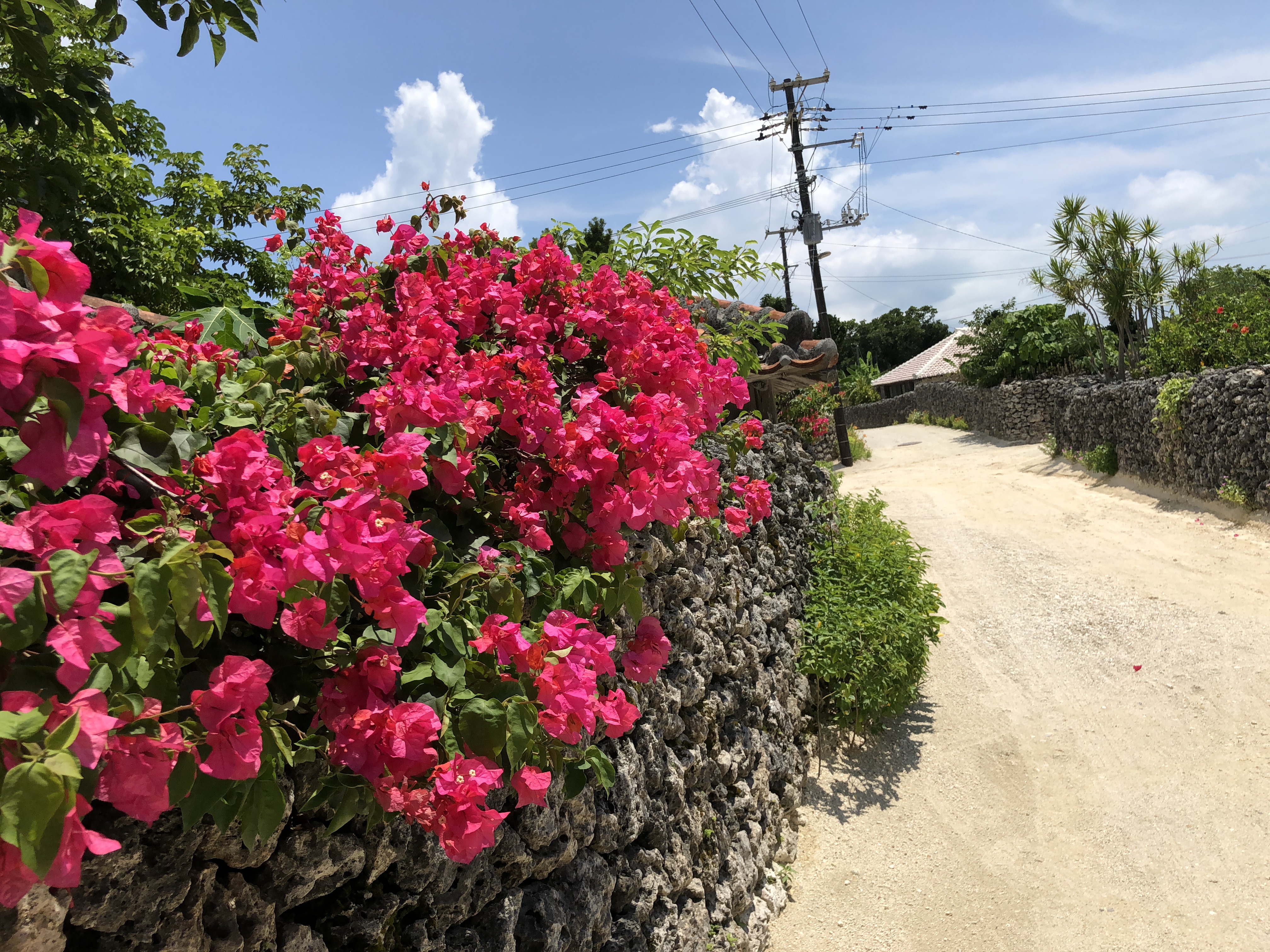 竹富島