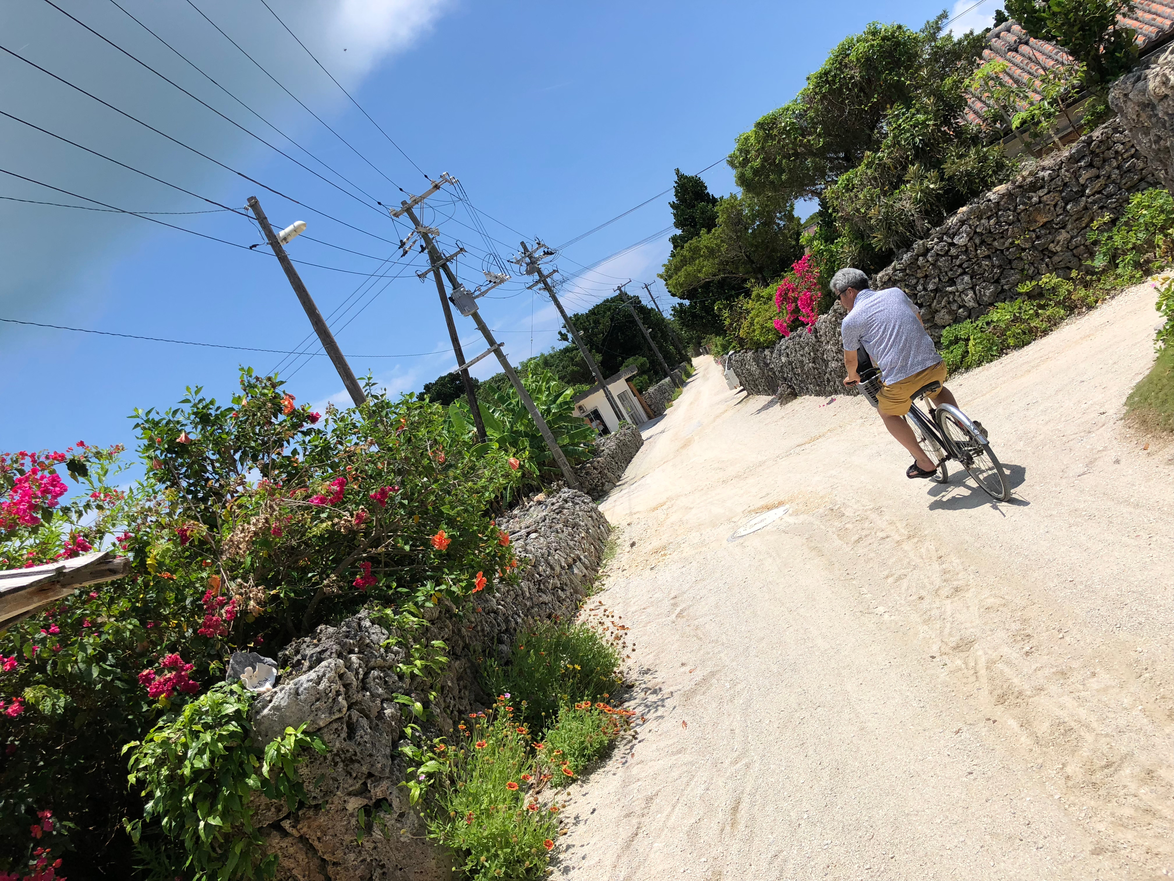 竹富島