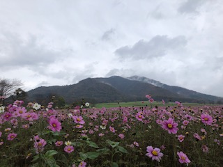 食事