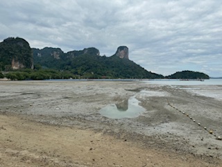 海